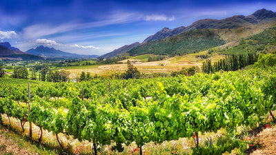 Türkische Weinbauregionen I Weinland Türkei I MineDineWine