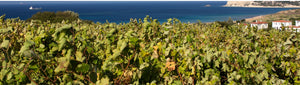Türkei - Weinbauregion - Mittelmeer